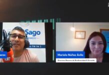 Chiloé se seca: Cuestionan a autoridades por falta de proyectos y nula proactividad