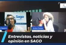 Ex presidenta de la UDI Regional confirma precandidatura a gobernadora en Los Lagos