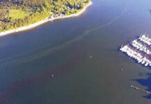 Sernapesca confirma que región de Los Lagos está libre de mareja roja