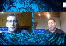 SalmonChile propone aumentar requisitos para pedir Espacios Costeros