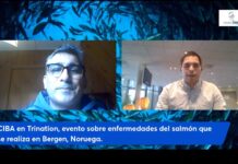 Salmones: Situación de enfermedades virales en Chile es similar a otros países exportadores