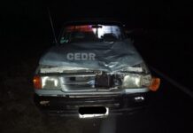 Hombre falleció tras ser atropellado en la Ruta 5 a metros del peaje troncal de Calbuco