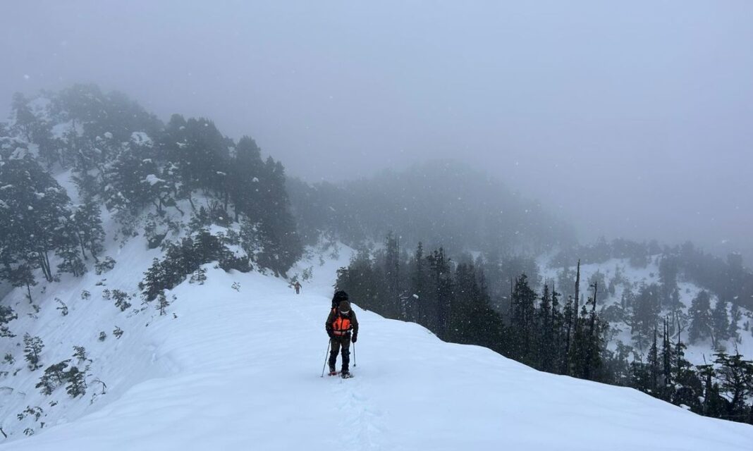 663d6fdf5e3a1_1200x719