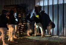 Banda criminal usaba GPS para marcar áreas de manejo y robar el recurso loco