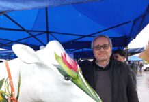 Consorcio lechero destaca el rol de la Leche Purita