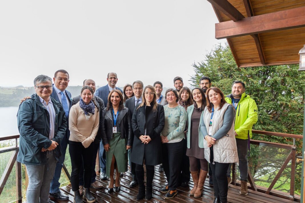 Jornada entre profesionales del HPM, Servicio de Salud del Reloncaví y Universidad de Chicago en Frutillar