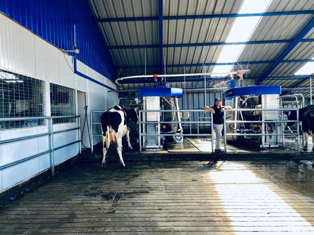 WhatsApp Image 2024-05-09 at 17.35.30