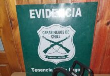 Dos sujetos fueron detenidos tras robar especies en varias viviendas en el sector Porvenir de Entre Lagos