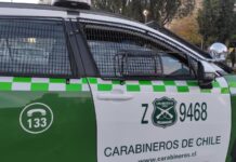 Confirman un detenido tras incendio forestal en la provincia de Osorno