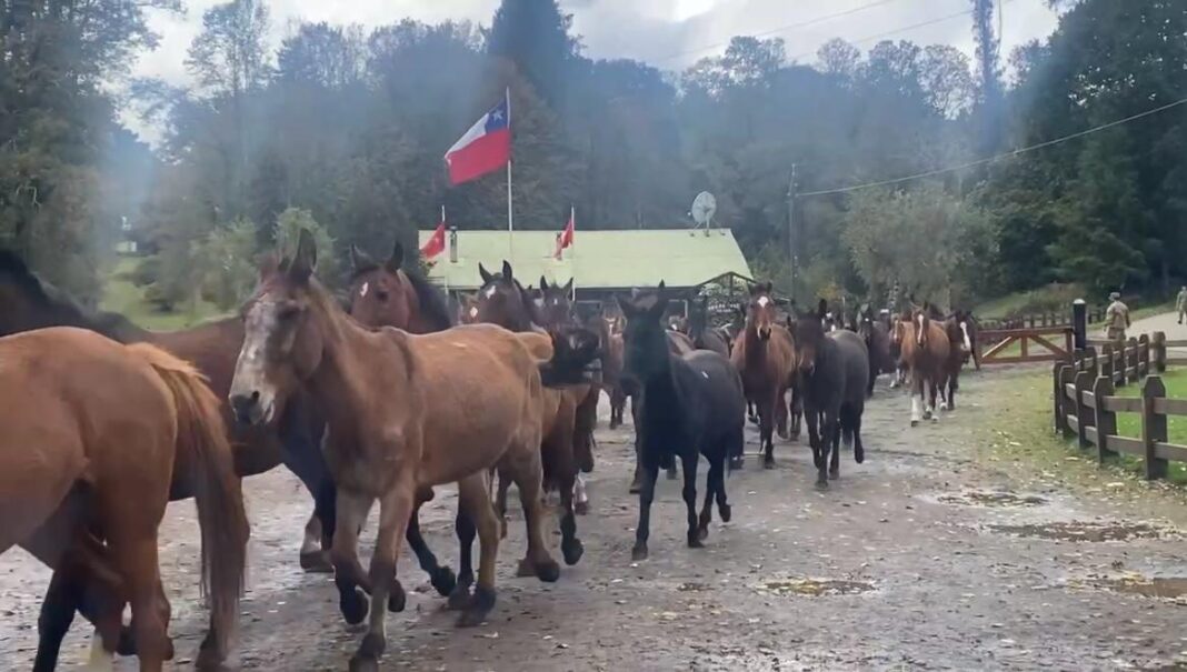 WhatsApp Image 2024-05-21 at 21.39.32