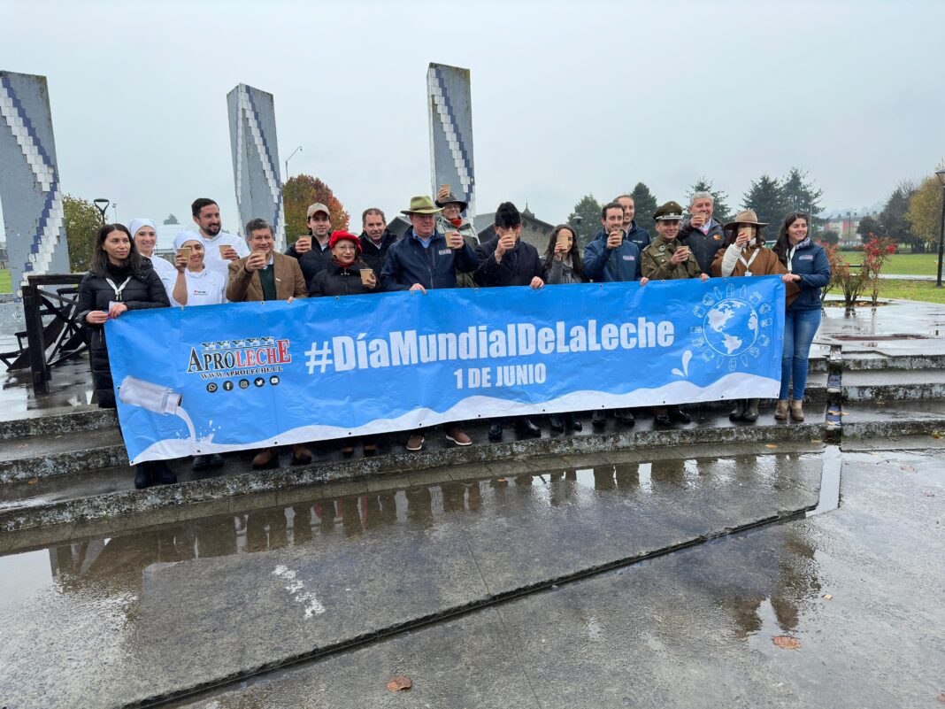 WhatsApp Image 2024-05-31 at 12.24.44