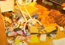 Familia sufrió un violento robo: cerca de 10 delincuentes invadieron el hogar mientras dormían