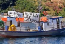 Consejo del Salmón apuesta por cambios y precisiones a la Ley Lafkenche