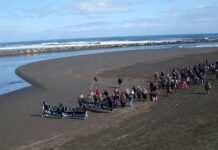 Acusan al Gobierno de tener postura contradictoria sobre la Ley Lafkenche