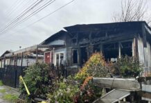 Dos adultas mayores, una ciega y otra sorda, fallecieron tras un incendio en Purranque