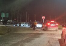 Mujer murió tras ser alcanzada por un tren de carga en Paillaco