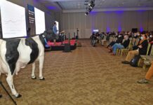 Ministro de Agricultura inaugura este miércoles Chilelácteo 2024.Organiza FEDELECHE