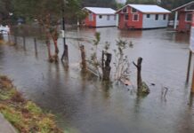 Sistema frontal en Los Ríos mantiene Alerta Roja por desbordes de río. Hay 300 personas aisladas en Futrono