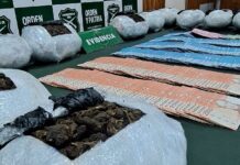 Operación policial en Puerto Montt desarticula red de tráfico de drogas