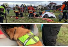 Un herido en un accidente de tránsito en Puerto Montt y un detenido por portar droga en Puyehue fue el saldo de diversos hechos policiales en las últimas horas