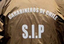 Buscan a conductor responsable de fatal atropello en la ruta a Los Muermos