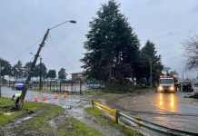 Saesa atiende diversas contingencias a raíz del temporal de viento y lluvia en las provincias de Osorno y del Ranco