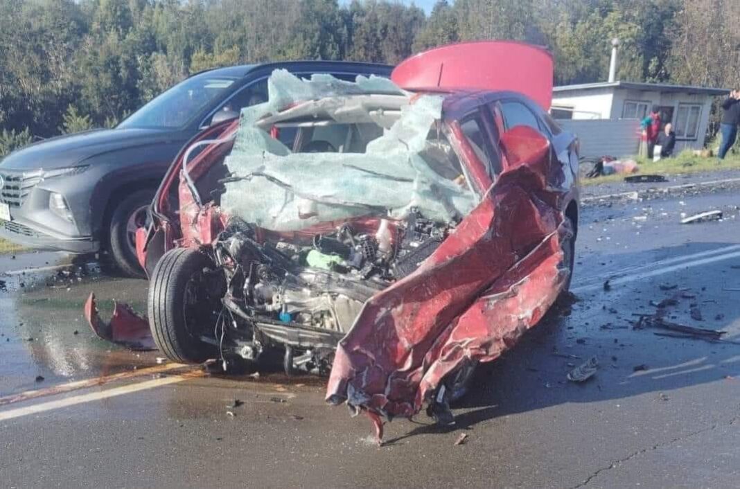 449695463_1241863407222164_4019750721156854088_n