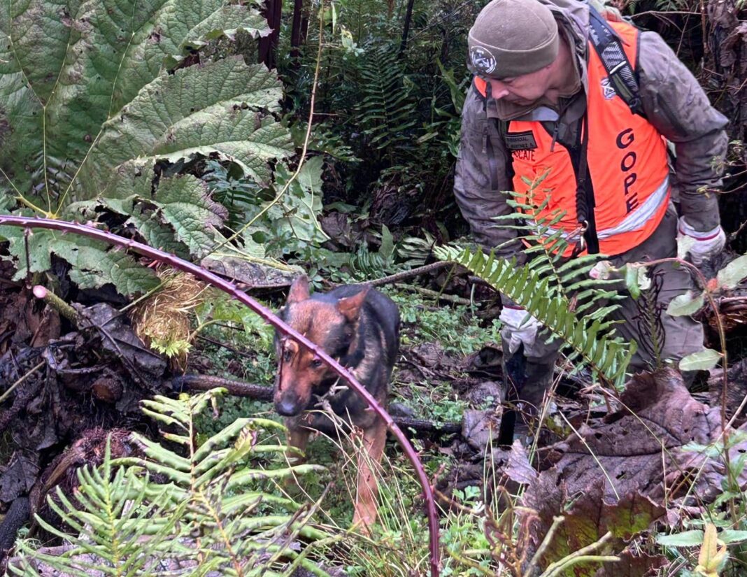 449719645_878450144317165_4567896159991378382_n