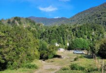 Predio fiscal usurpado en Pto. Montt: BB.NN. reitera petición de desalojo a delegada presidencial