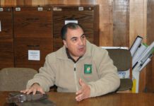 De un millón doscientas mil toneladas de papa que produce Chile, 700 mil van a la mesa