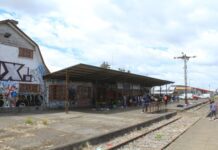 Alcalde de Purranque reclama contra EFE por terreno baldío que se ha transformado en foco delictivo