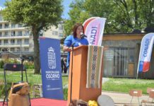 Consejera nacional de la Conadi lamentó renuncia del director nacional de la repartición