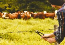 Gremios del agro en acción conjunta para acabar con el delito de abigeato