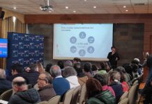 Nuevo sistema de locomoción pública mayor de Osorno incluye 11 recorridos y horarios de 06 a 21 horas