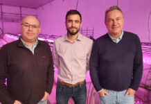 Nueva Vid se une a Grupo Hijuelas para transformar la producción frutícola a nivel global