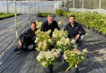 Nueva vid y Grupo Hijuelas unidos en fruticultura para conquista global