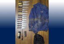 Dos detenidos en Osorno por portar elementos utilizados para cometer delitos de abigeato