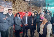 115 productores leñeros de Los Lagos fueron beneficiados con maquinaria a través del programa “Tá buena tu leña seca”