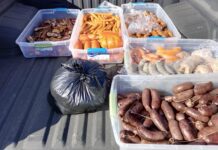 Decomisan cuarenta kilos de productos cárnicos desde las inmediaciones de popular feria en Osorno