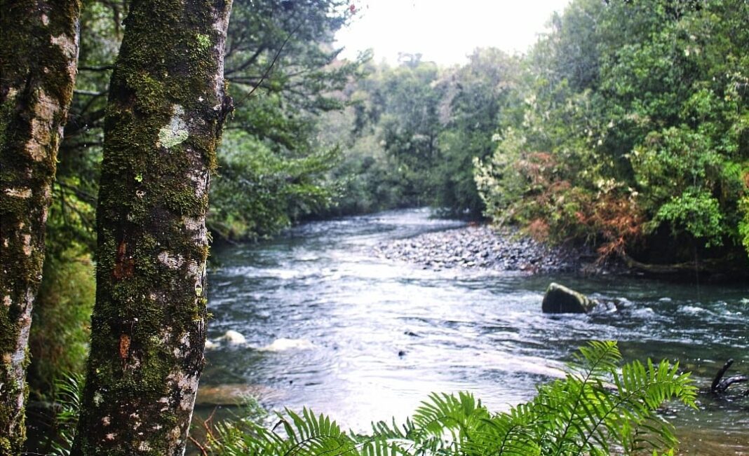 WhatsApp Image 2024-07-23 at 17.56.52