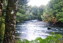 Aprueban 1.750 millones de pesos para la promoción turística de la región de Los Lagos