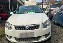 Carabineros detiene a dos sujetos por robo de madera en Alto La Paloma