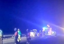 Adulto mayor falleció tras atropello en Ruta 5 Sur a la altura de Frutillar