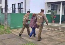 Dos mujeres fueron detenidas en Osorno por diversos procedimientos policiales: una de ellas robó en la casa de una adulta mayor
