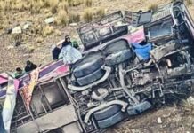 Bus cayó a un barranco en Perú: hay al menos 26 fallecidos