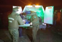 Dictan veredicto condenatorio contra dos asesinos de un adulto mayor y su hijo ocurrido en 2022 en Purranque