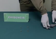 Carabineros detuvo a dos sujetos por porte de arma de fuego y maltrato de obra en Rahue