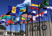 IICA: Instituto Interamericano de Cooperación para la agricultura en #sagofisur2024