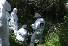 Descubren restos humanos en parcela de Molino Viejo en Llanquihue