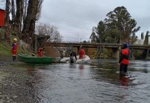Sin novedades continúa búsqueda de cadáver en el río Rahue